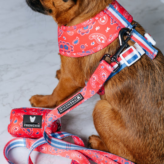 Frenchie Comfort Leash - Red, White, and Paisley