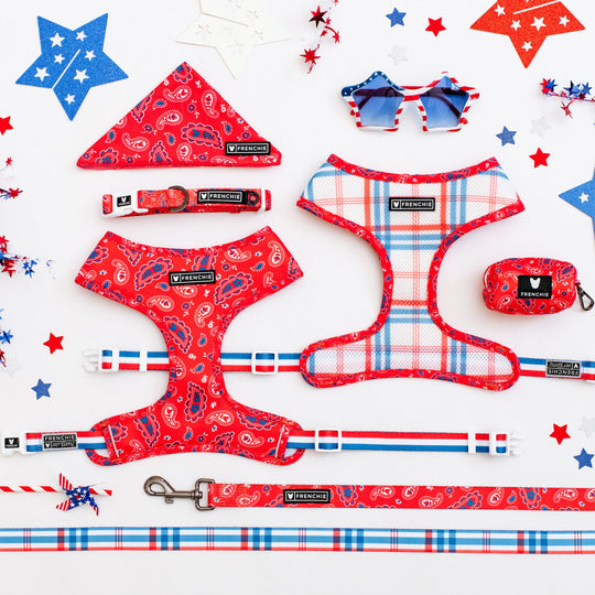 Frenchie Comfort Leash - Red, White, and Paisley