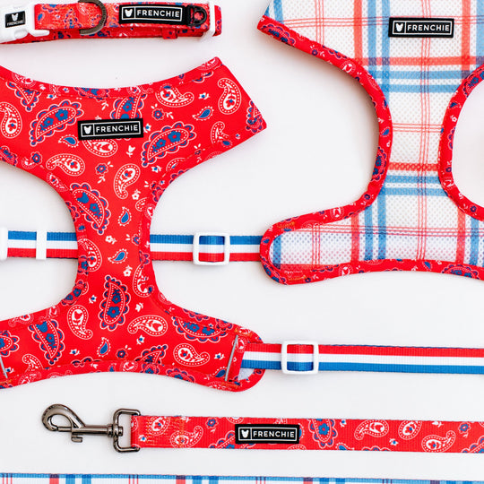 Frenchie Duo Reversible Harness - Red, White, and Paisley