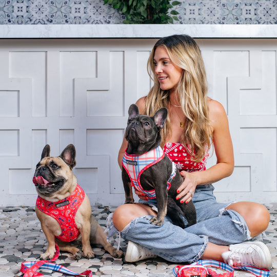 Frenchie Duo Reversible Harness - Red, White, and Paisley