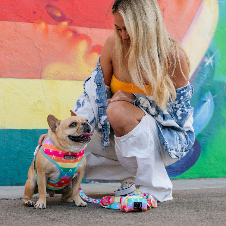 Printable Cheat Sheet What NOT to Feed your Dog Frenchie Bulldog