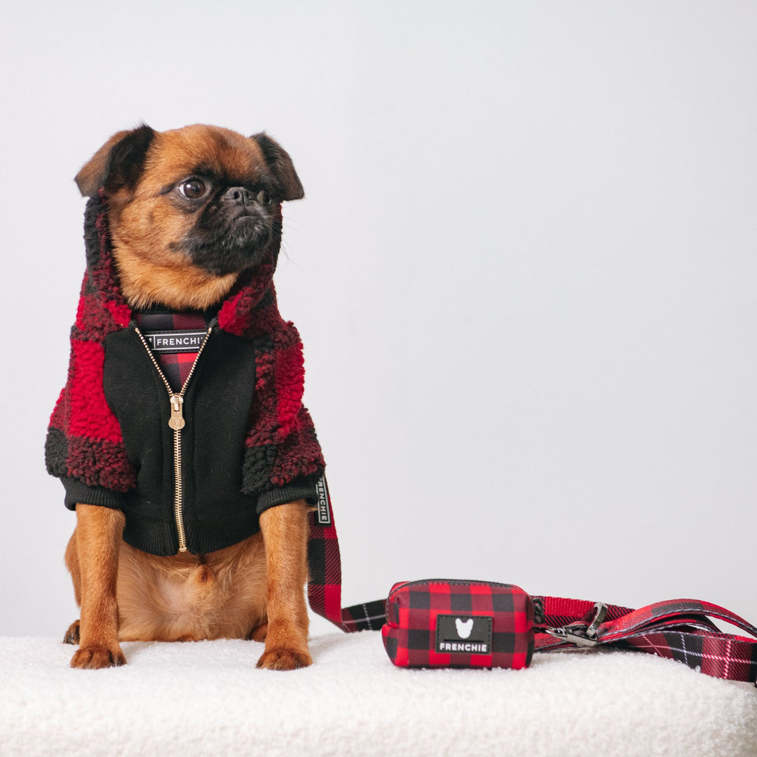 Frenchie Dog Hoodie - Red and Black Plaid