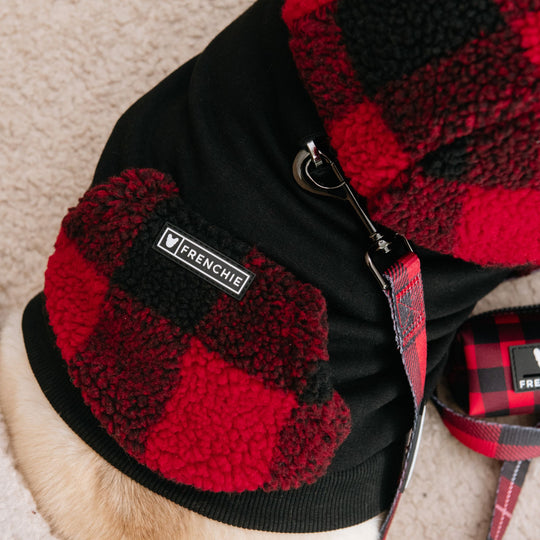 Frenchie Dog Hoodie - Red and Black Plaid