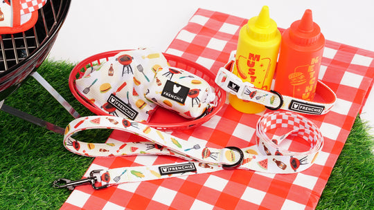 Frenchie Comfort Leash - Cook Out