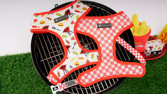 Frenchie Duo Reversible Harness - Cook Out