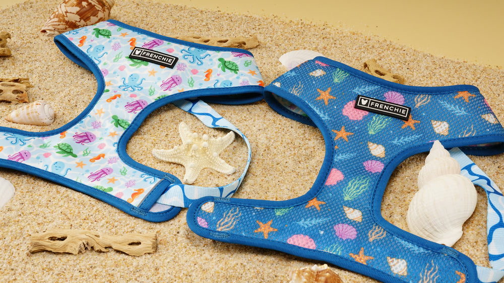 Frenchie Duo Reversible Harness - Aquatic Critters