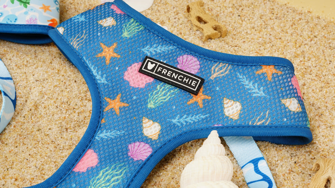 Frenchie Duo Reversible Harness - Aquatic Critters