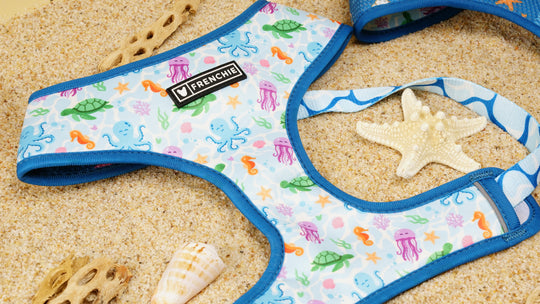 Frenchie Duo Reversible Harness - Aquatic Critters
