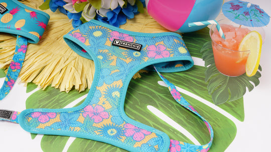 Frenchie Duo Reversible Harness - Tropical Punch