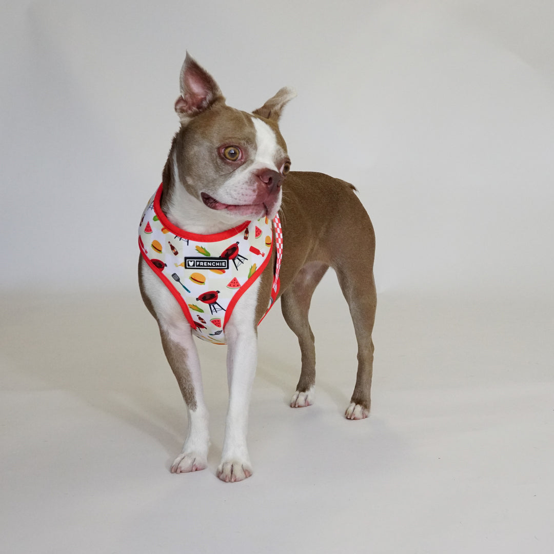 Frenchie Duo Reversible Harness - Cook Out