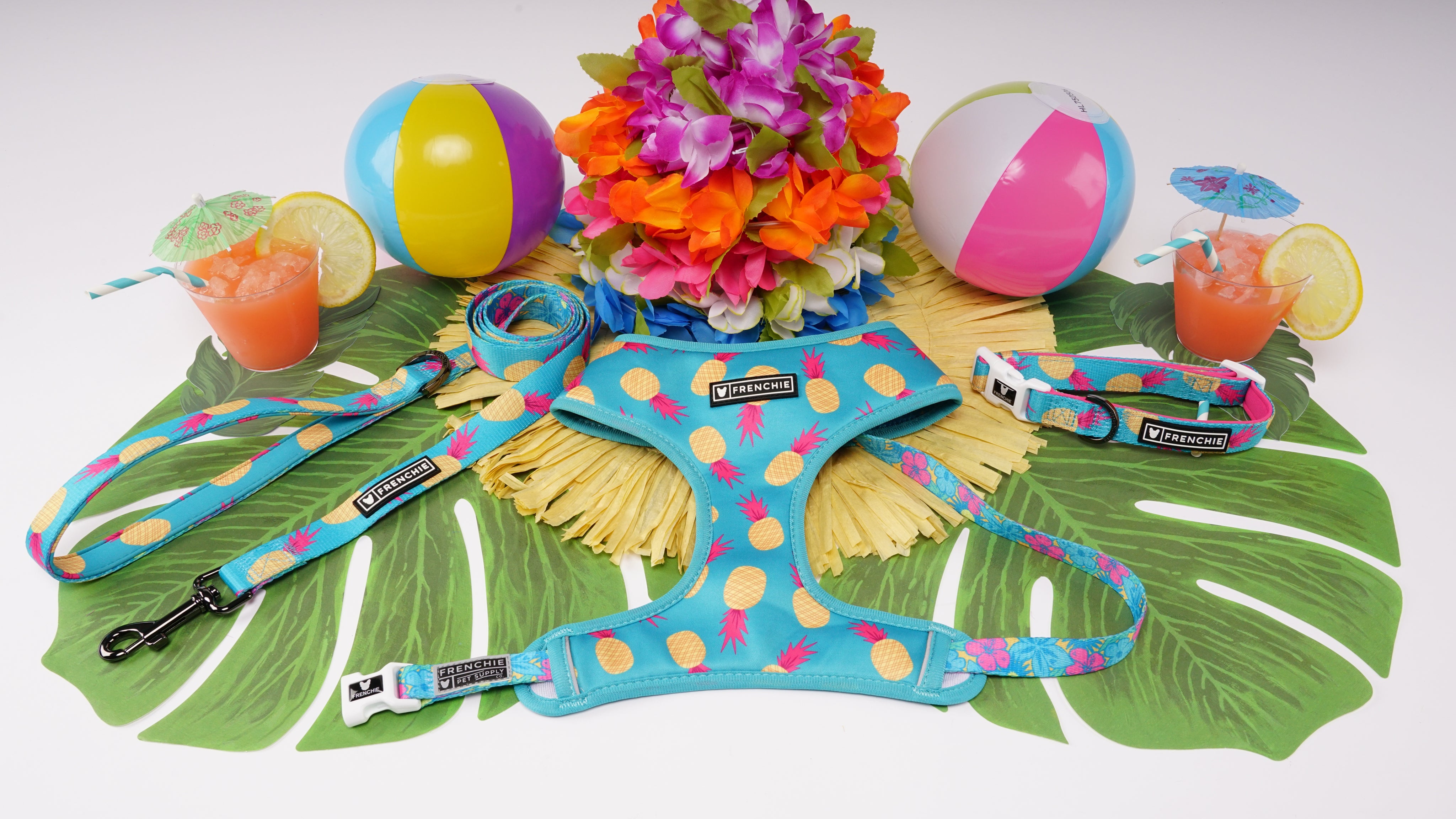 Frenchie Duo Reversible Harness - Tropical Punch – Frenchie Bulldog