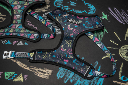 Frenchie Duo Reversible Harness - Chalk Art