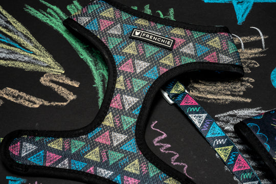 Frenchie Duo Reversible Harness - Chalk Art