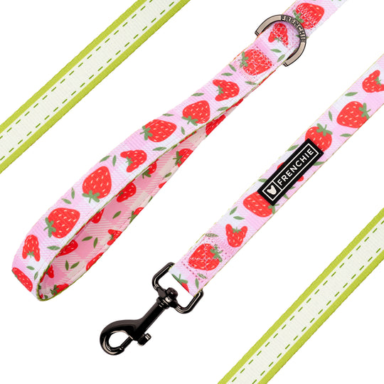 Frenchie Comfort Leash - Strawberry Fields