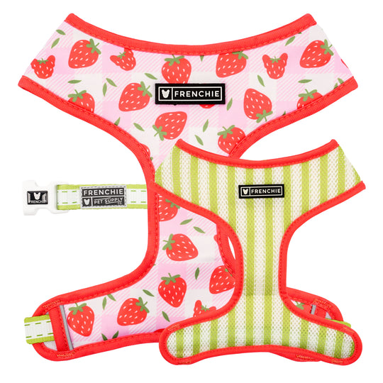 Frenchie Duo Reversible Harness - Strawberry Fields
