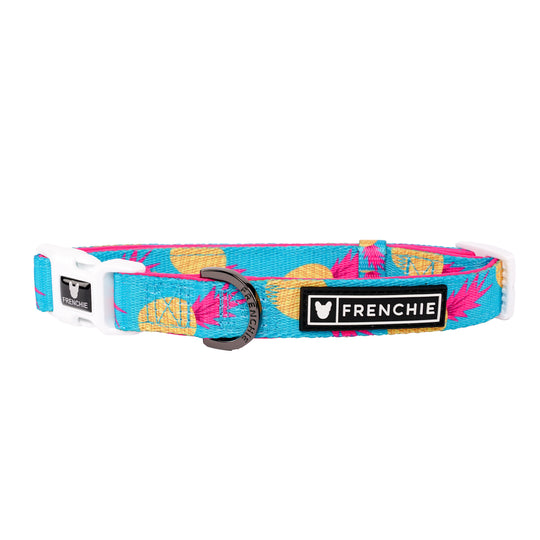 Frenchie Comfort Collar - Tropical Punch