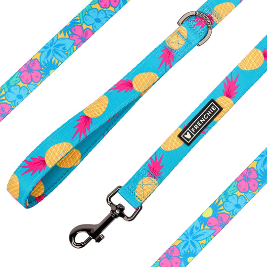 Frenchie Comfort Leash - Tropical Punch