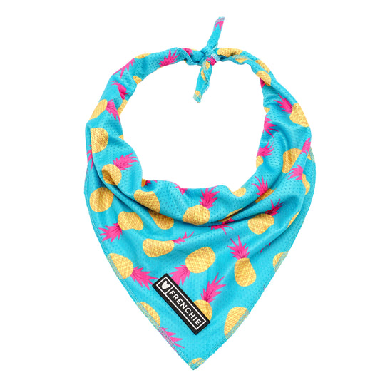 Frenchie Cooling Bandana - Tropical Punch
