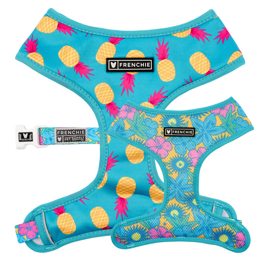 Frenchie Duo Reversible Harness - Tropical Punch