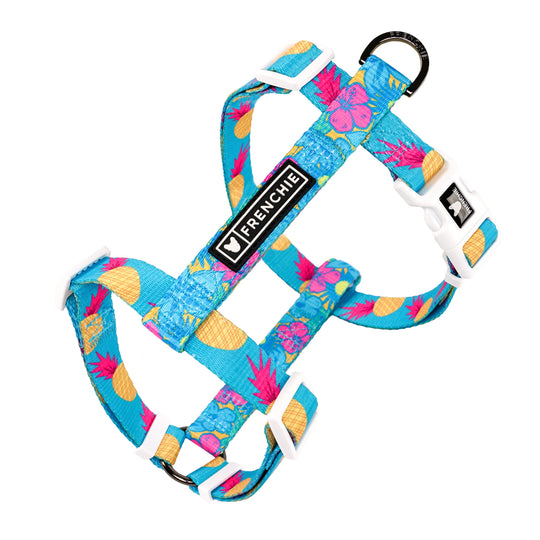 Frenchie Strap Harness - Tropical Punch