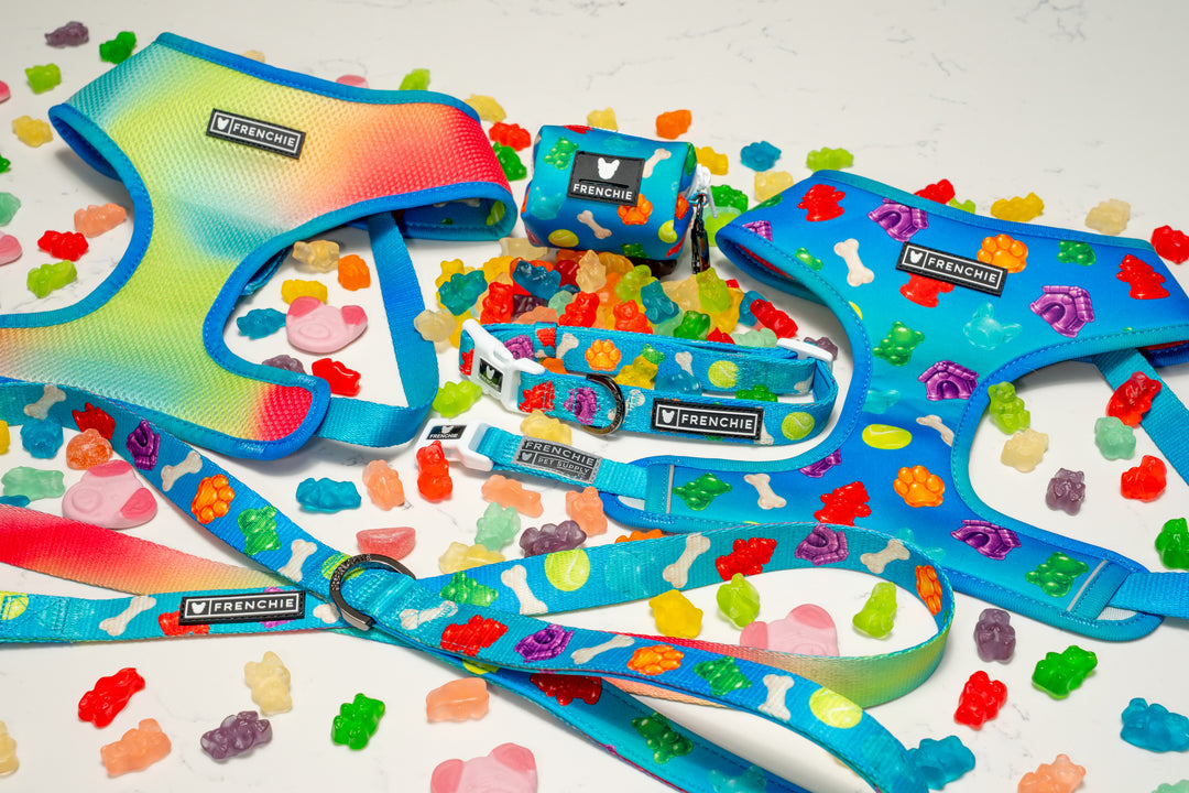 Frenchie Duo Reversible Harness - Gummies