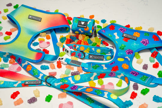 Frenchie Duo Reversible Harness - Gummies