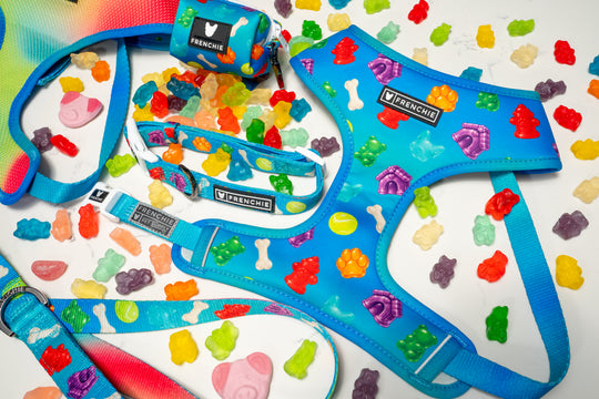 Frenchie Duo Reversible Harness - Gummies