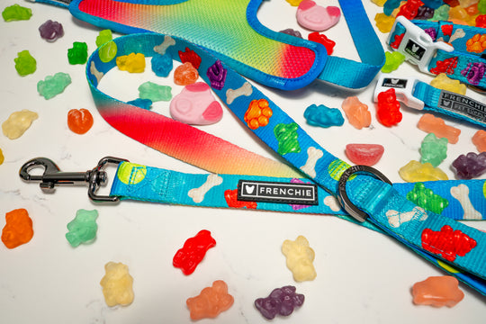 Frenchie Comfort Leash - Gummies