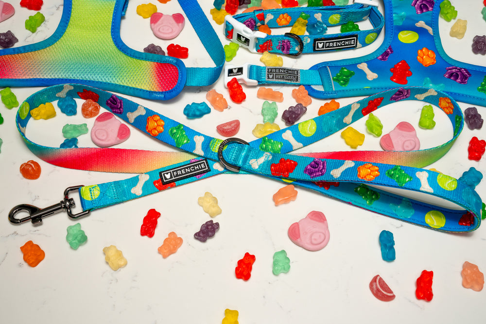 Frenchie Comfort Leash - Gummies