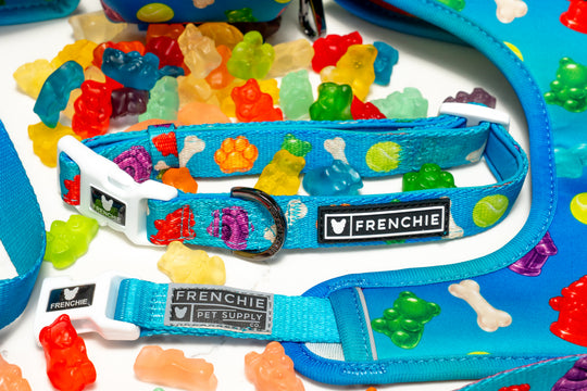 Frenchie Comfort Collar - Gummies
