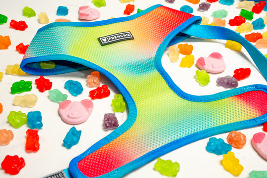 Frenchie Duo Reversible Harness - Gummies