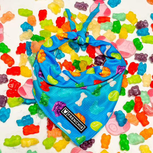 Frenchie Cooling Bandana - Gummies