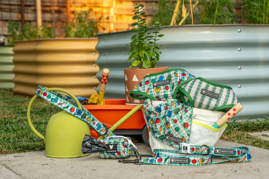 Frenchie Duo Reversible Harness - Veggies