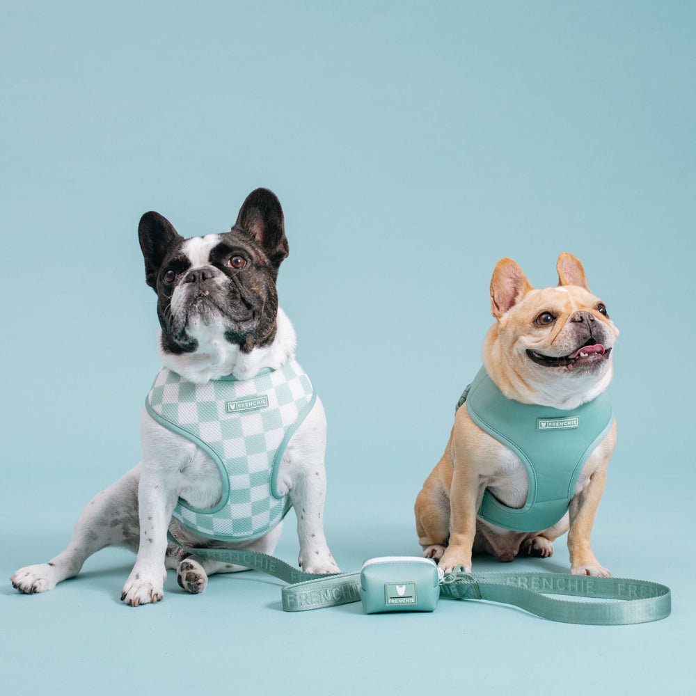 Frenchie Duo Reversible Harness - Sage