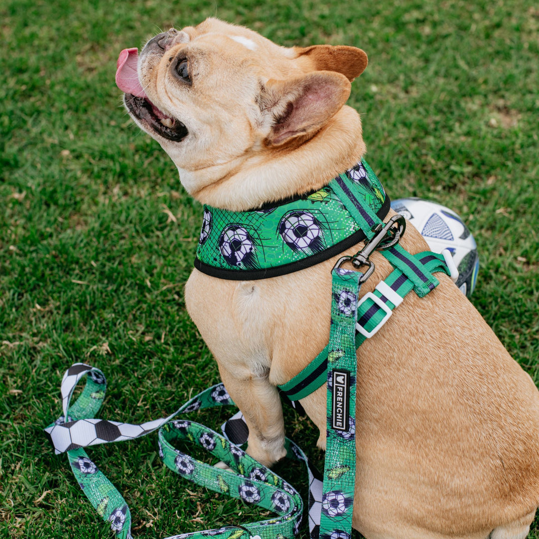 Frenchie Duo Reversible Harness - Soccer