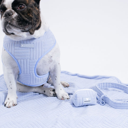 Frenchie Poo Bag Holder - Terry- Blue