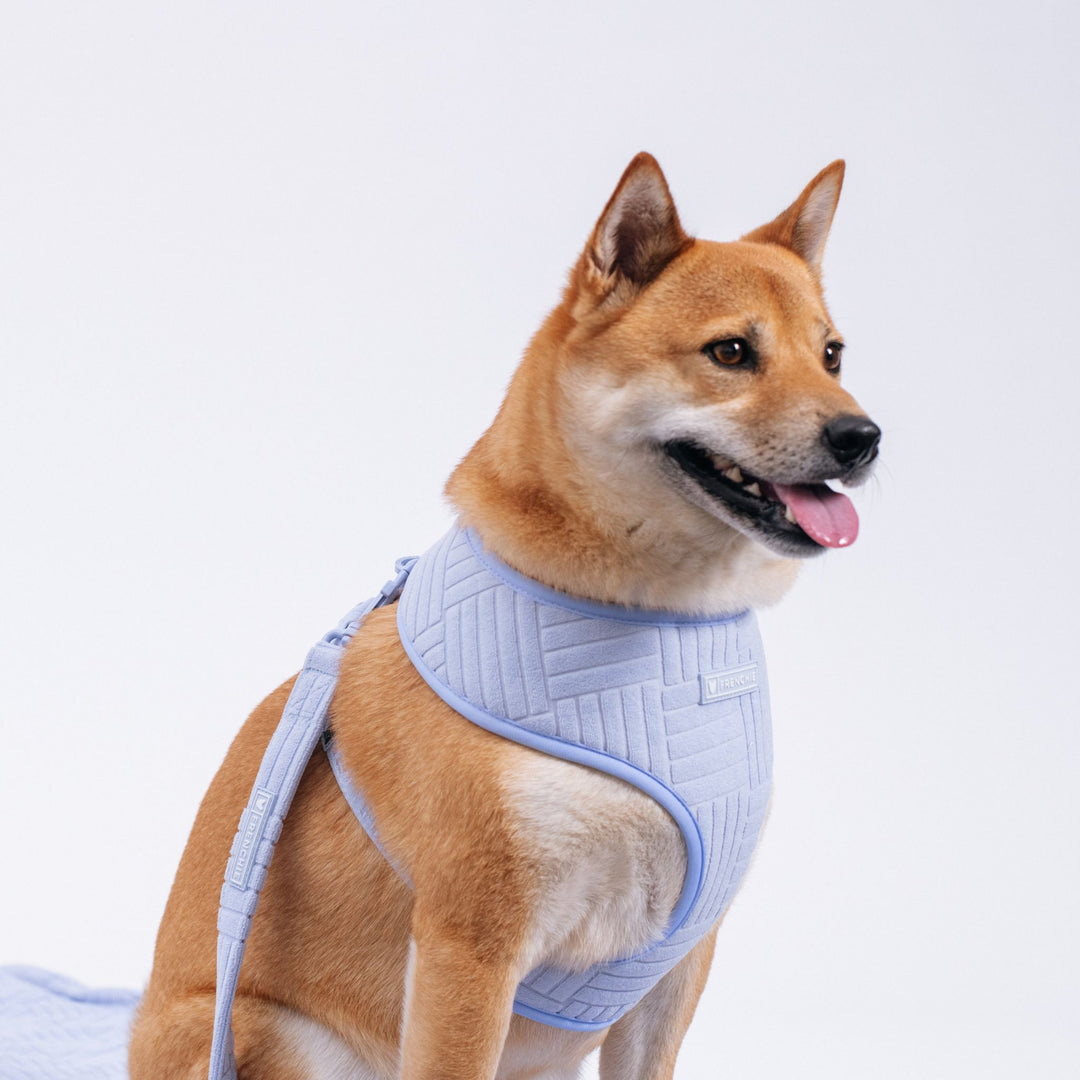 Frenchie Duo Reversible Harness - Terry- Blue