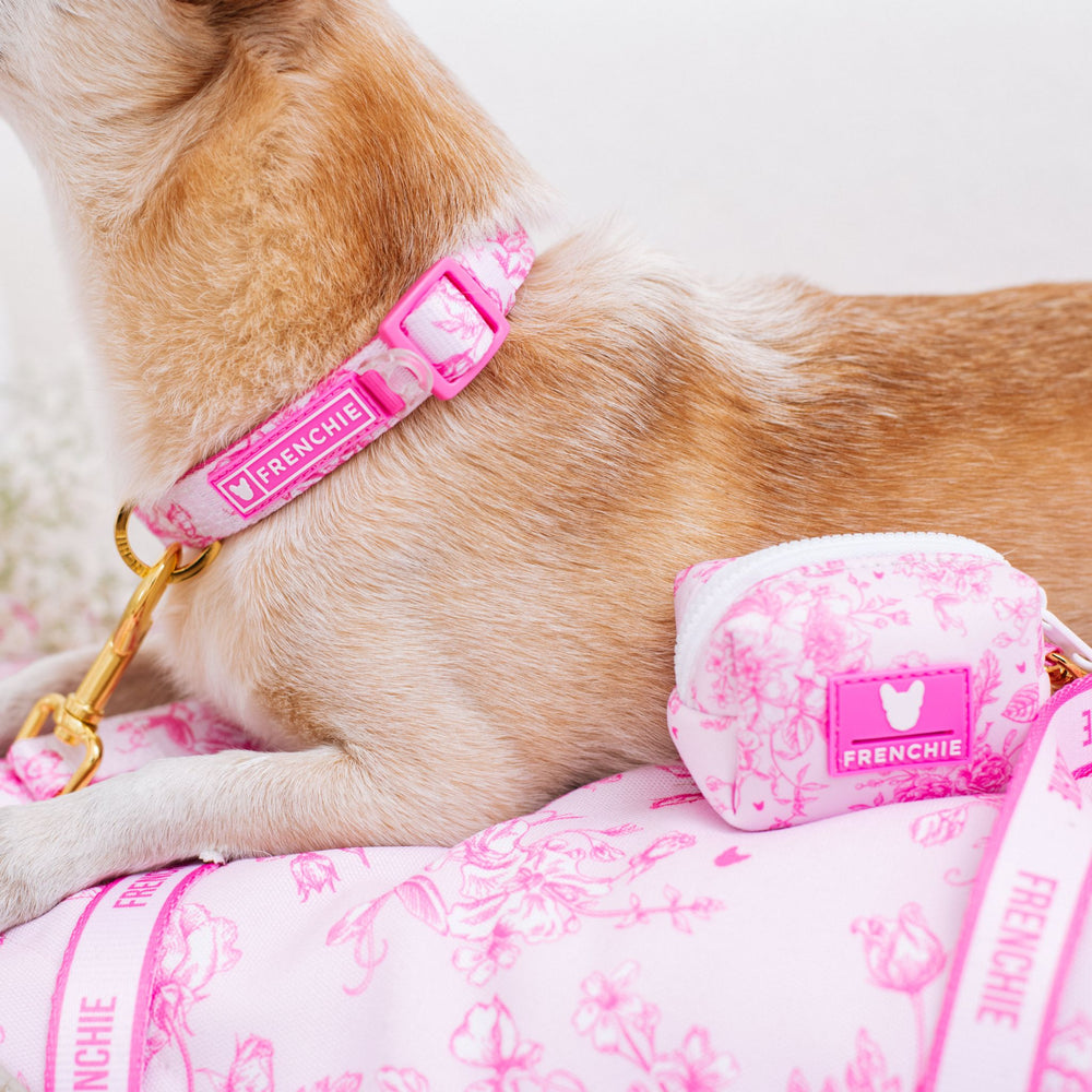 Frenchie Comfort Collar - Toile- Pink