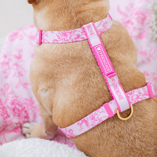 Frenchie Strap Harness - Toile- Pink