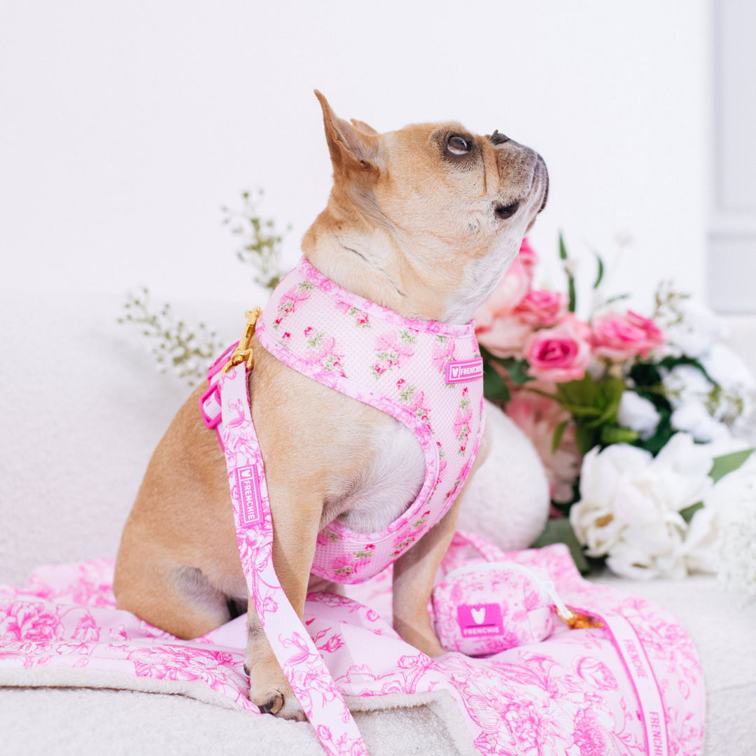 Frenchie Duo Reversible Harness - Toile- Pink