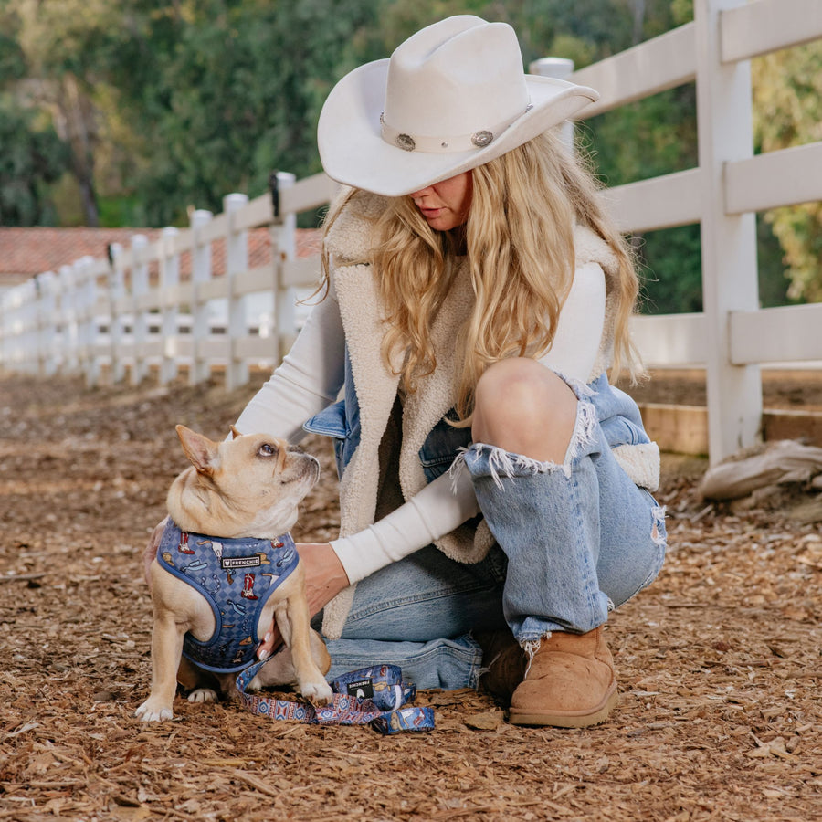 Printable Cheat Sheet What NOT to Feed your Dog Frenchie Bulldog