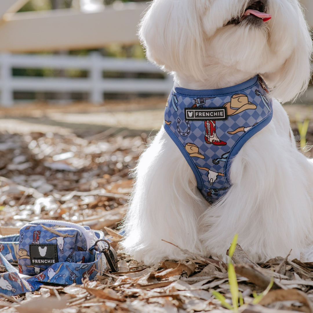 Frenchie Duo Reversible Harness - Wild West- Blue
