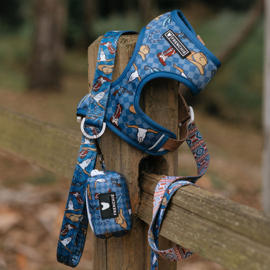 Frenchie Duo Reversible Harness - Wild West- Blue