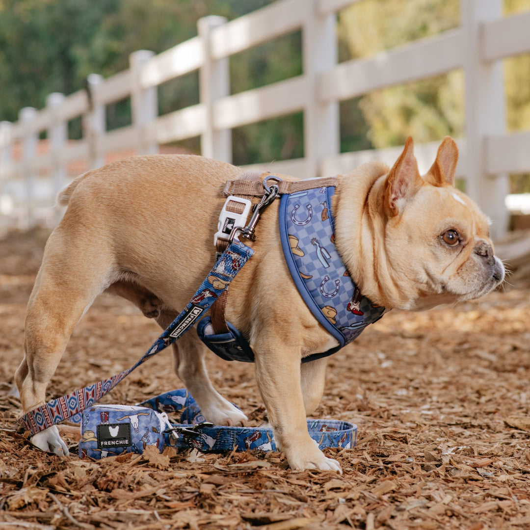 Frenchie Comfort Leash - Wild West- Blue