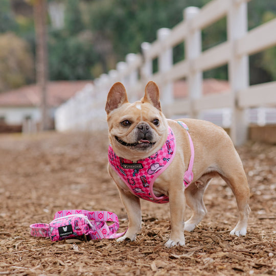 Frenchie Duo Reversible Harness - Wild West- Pink
