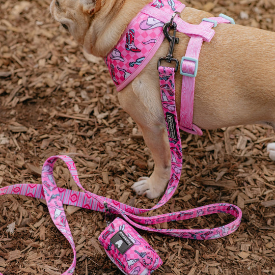Frenchie Comfort Leash - Wild West- Pink