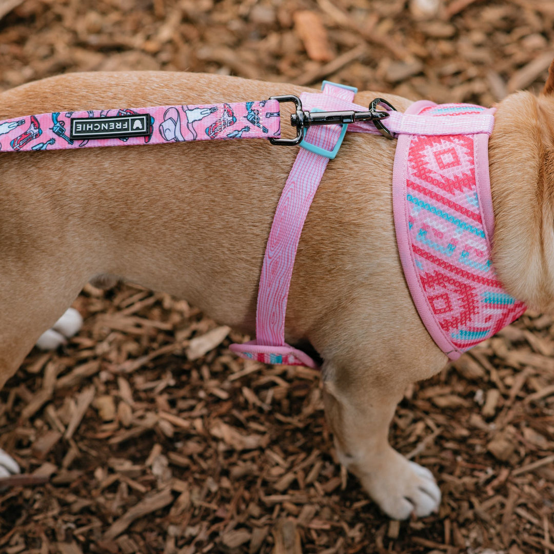 Frenchie Duo Reversible Harness - Wild West- Pink