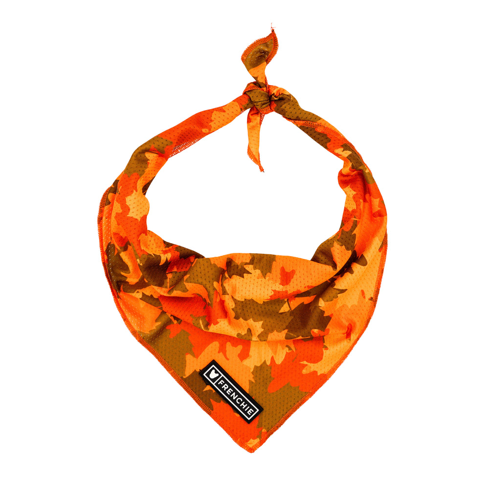 Frenchie Cooling Bandana 2-Pack - Fall