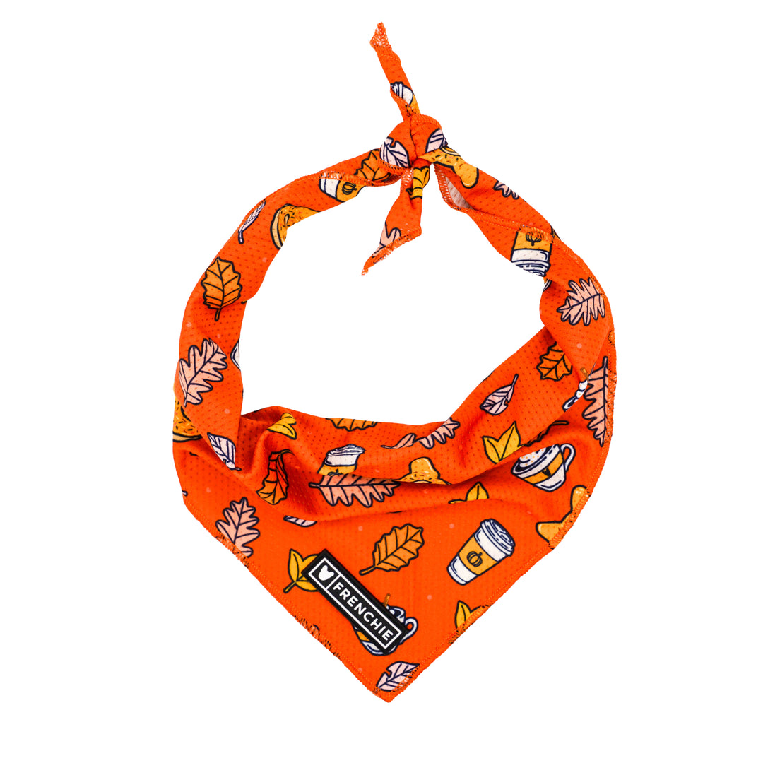 Frenchie Cooling Bandana 2-Pack - Fall