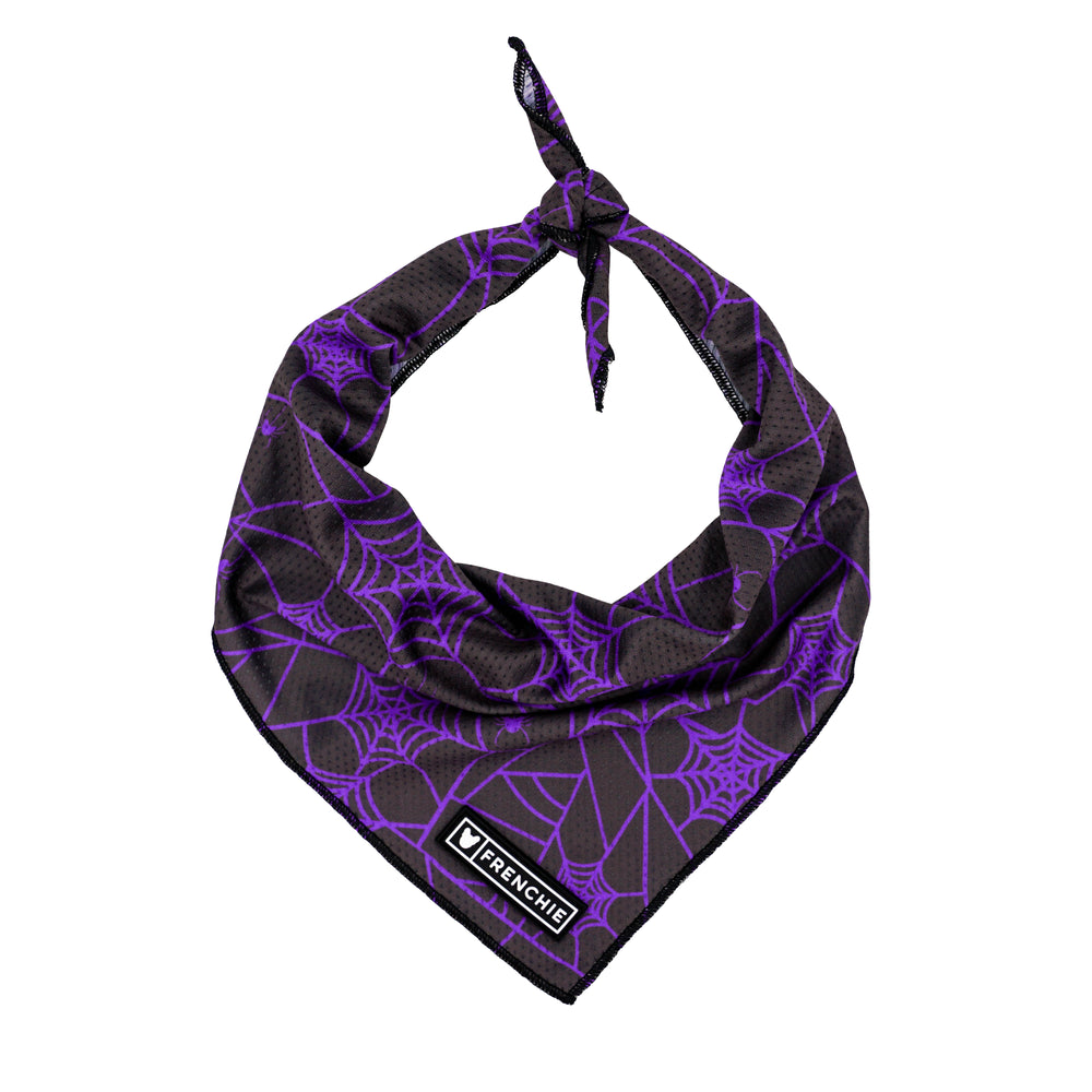 Frenchie Cooling Bandana 2-Pack - Halloween